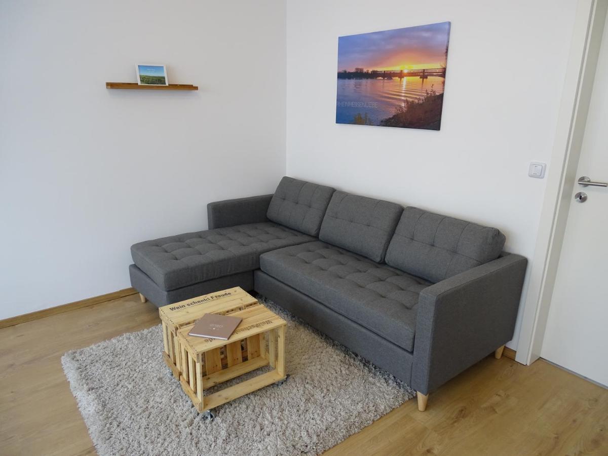 Rheinhessen Apartment 니데르옴 외부 사진